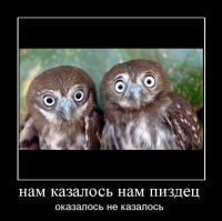 post-4386-0-45066100-1439135909_thumb.jpeg