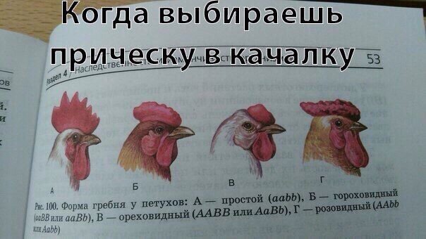 3a8e0cd9899990013d86ad7a360861a6.jpg